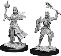 Human Cleric Female (Nolzurs - W08)